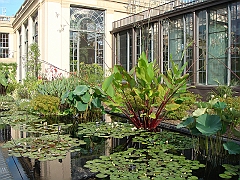 287 Longwood Gardens [2008 August 23]